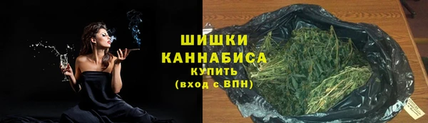 PSILOCYBIN Балахна