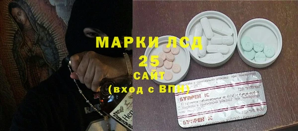 PSILOCYBIN Балахна