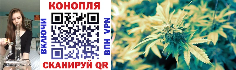 Бошки Шишки сатива  купить наркотик  Ясногорск 